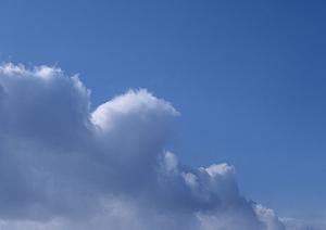 徳島の葬儀会社はプランが豊富で良い