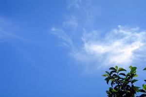 【2026年最新】甲州市でペット供養を検討している方必見！最適な供養方法と選び方完全ガイド