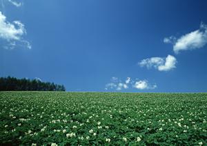 浜松市浜名区の家族葬・小規模葬儀に最適な富士葬祭 浜北沼の詳細ガイド
