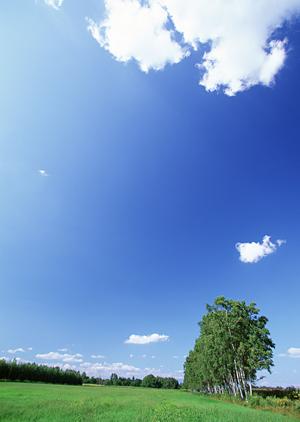 焼津市に新オープン！家族葬のタクセル東小川｜静岡の家族葬・葬儀場の特徴と選ばれる理由