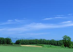 静岡県浜松市に新規オープン！家族葬に最適な【家族葬のタクセル有玉南町】の特徴と店舗情報
