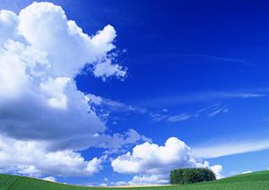 【公式】さがみ典礼 滝の原｜栃木県宇都宮市の信頼の葬儀サービスと充実した設備での送迎を実現